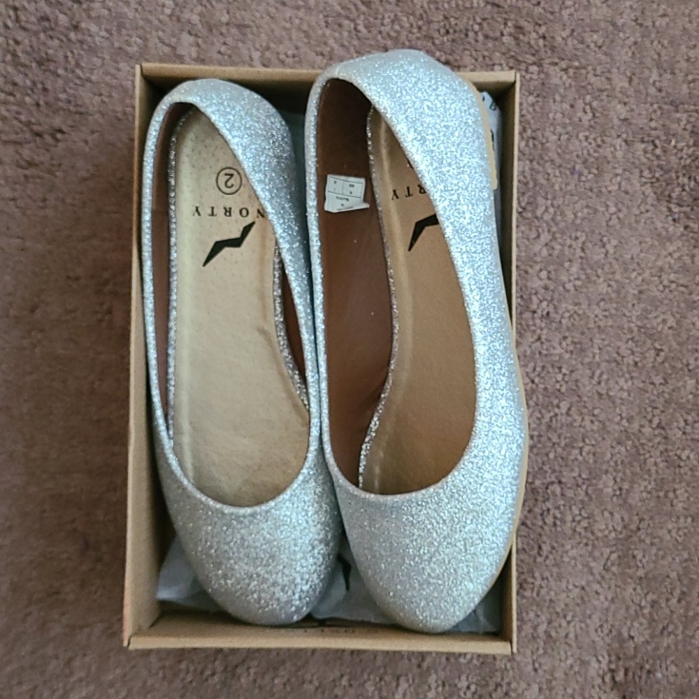 North silver ballet shoes
